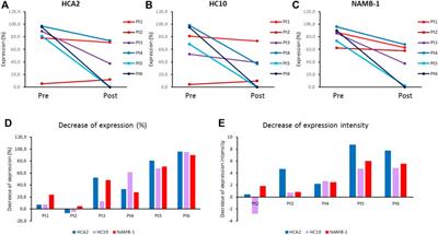 HLA Class I Downregulation in Progressing Metastases of Melanoma Patients Treated With Ipilimumab